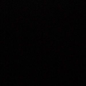 Meet your Posher, Allie